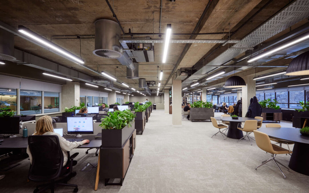 modern office setup with greenery