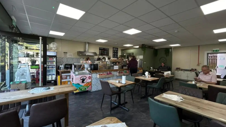 cafe with tables and chairs
