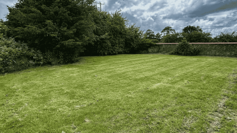 large green garden with red brick garden wall and tall greenery at Montebello Castle